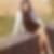 Photo de profil de Nadine Closier