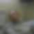 Photo de profil de Loic Lebouder
