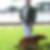 Photo de profil de Philippe Copy