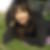 Photo de profil de Sonia Schifano