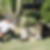 Photo de profil de Claude Gazon