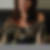 Photo de profil de Beatrice Veisager