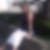 Photo de profil de Nicole Rayter