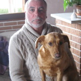 Photo de profil de Michel Blaison