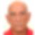 Photo de profil de Jose Halley