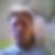 Photo de profil de Alain Brunetti