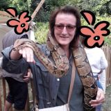 Photo de profil de Corinne Collet