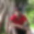 Photo de profil de Serge Taxier