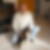 Photo de profil de Francis Tiffon