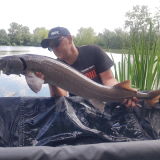 Photo de profil de Cedric Laignel
