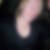 Photo de profil de Sophie Doreau-Gourinal