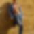 Photo de profil de Alexandre Gilabert