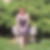 Photo de profil de Claire Piere