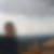 Photo de profil de Raphael Landais