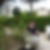 Photo de profil de Lysiane Lampson