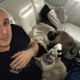 Photo de profil de Vincent Dhenin