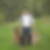 Photo de profil de Martial Boubet
