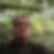 Photo de profil de Alain Marrec