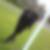 Photo de profil de Kevin Diawakana