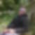 Photo de profil de Frederic Niogret