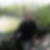 Photo de profil de Joseph Prosperi