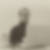 Photo de profil de Eric Fone Tchoura