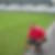 Photo de profil de David Andrade