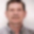 Photo de profil de Bernard Palisson