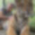 Photo de profil de Eric Montagu