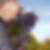 Photo de profil de Sylvain Diont