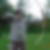 Photo de profil de Frederic Courti