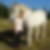 Photo de profil de Celine Mac Farren