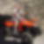 Photo de profil de Remi Poujol