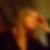 Photo de profil de Camille Lonlas