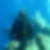 Photo de profil de Fidji Perrin