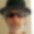 Photo de profil de Patrick Nicolleau