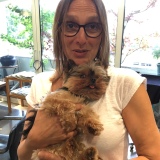 Photo de profil de Catherine Blain