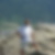 Photo de profil de Martial Auger