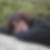 Photo de profil de Réjane Votte
