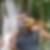 Photo de profil de Patrice Gravelet