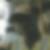 Photo de profil de Thierry Ngongo