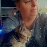 Photo de profil de Regine Bolzer