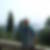 Photo de profil de Roland Bach
