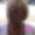Photo de profil de Paulette Zenone