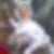 Photo de profil de Sébastien Legoff