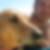 Photo de profil de Olivier Notter