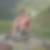 Photo de profil de Subra Bottini