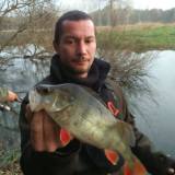 Photo de profil de Sebastien Girard