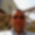 Photo de profil de Adel Benzina