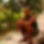 Photo de profil de Cyrille Anaclet